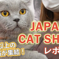 【JAPAN CAT SHOW 2022】200頭以上が集結！「キャットショーエキシビジョン」で1位となった猫は？