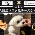 愛犬と楽しむバスクチーズケーキ（734円）