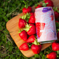 「台湾金牌ビール」から現地でも人気のストロベリーフレーバーが冬季限定で登場