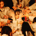 写真：上山陽介
