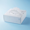 「白い恋人」のISHIYAが手掛ける冷凍ケーキ「ガトー・フレーズピスターシュ」本日発売
