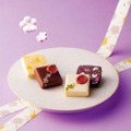 CHOCOLATIER PALET D’OR「フルーツ＆ナッツ ペアリング」（4個入）2,160円苺×ココナッツ、ブラッドオレンジ×マンゴーなど、様々なフルーツとナッツの組合せを楽しめるショコラの詰合せ。ナッツの食感やみずみずしいフルーツの味わいが絶妙なバランスのボンボンショコラ。