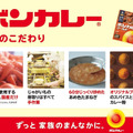 「ボンカレー」発売55周年！世界最長寿のレトルトカレーとしてギネス認定