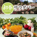 ブロンコビリー、「初春サラダバー」19日から　せり・ふきなど旬の野菜がたっぷり