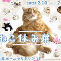 ねこ休み展 2023 in 横浜