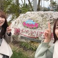 『【Vlog】Go To サクラ旅　～全国の桜名所巡り　時々メシ in 宮崎～』