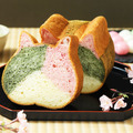 ねこねこ食パン 三色ねこねこ