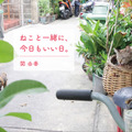 関由香『ねこと一緒に、今日もいい日。』