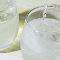 発酵ゆずハードセルツァーの素
