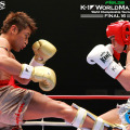 K-1 WORLD MAX2009