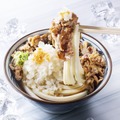 鬼おろし肉ぶっかけうどん