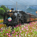 ガリガリ君が秩父鉄道に遊びにやってくる2023