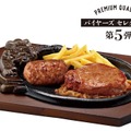 炭焼きがんこハンバーグ＆炭焼きやわらかヒレステーキ