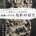 『なれのはて』（講談社）ポスタービジュアル （デザイン：高柳雅人）