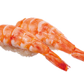天然大海老