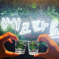 韓国焼酎
