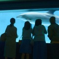 Nスペで“宗教2世”の実体験を基にしたドラマ！田中麗奈「親が与える影響をすごく感じた」