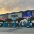 イクスピアリがディズニー映画最新作『ウィッシュ』に染まる！キャラクター“スター”の装飾やフォトスポットを探して楽しもう
