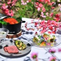 桃源郷グランピングランチ