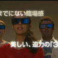 パナソニックFULL HD 3D Special Siteで公開中の3D映像体験イメージ（昨年の103V型PDPにおける例）