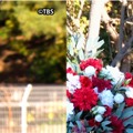 （C）TBS