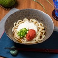 明太とろろぶっかけうどん
