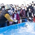 伊東温泉めちゃくちゃ市