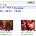 検索キーワード候補の自動表示が、画像検索でも利用可能となった