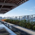 千客万来足湯庭園（一般無料開放用）