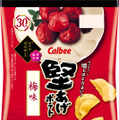 堅あげポテト 梅味