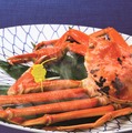 敦賀駅【越前かに職人 甲羅組】「自家茹で越前かに」15,000円から（600gから）※水揚げ状況により変更になる場合あり。