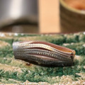 小肌