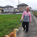 （C）ABCテレビ