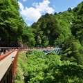 トロッコ電車で行く黒薙温泉満喫噴泉見学ツアー