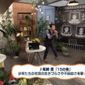『木村多江の、いまさらですが…』（C）NHK