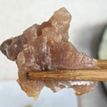 コストコ　鯵のなめろう 撮影：渡邉