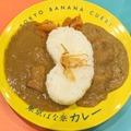 東京ばな奈カレー＠撮影　渡邉