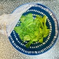 【レシピ】ギリシャヨーグルトが旨い！「ベビーほうれん草のヨーグルト和え」