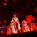 「4th ARENA TOUR 2024 新・櫻前線 -Go on back?- IN 東京ドーム」ライブ写真（撮影：上山陽介）