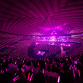 「4th ARENA TOUR 2024 新・櫻前線 -Go on back?- IN 東京ドーム」ライブ写真（撮影：上山陽介）