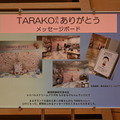 「TARAちゃんありがとうの会～たいせつなきみへ～」
