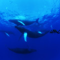 ©National Geographic