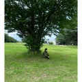 玉田志織（写真は玉田志織の公式インスタグラムから）※所属事務所に掲載許諾をもらってます