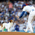 愛犬・デコピンに待てをする大谷翔平（Photo by Harry How/Getty Images）