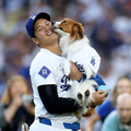 大谷翔平と愛犬・デコピン（Photo by Harry How/Getty Images）
