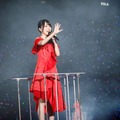 「真夏の全国ツアー2024」ライブ写真　鈴木健太（KENTA Inc.）