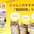 猫語辞典　オールカラー　にゃんこのキモチがわかっちゃう！