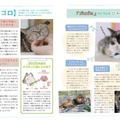 猫語辞典　オールカラー　にゃんこのキモチがわかっちゃう！