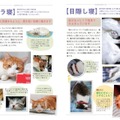 猫語辞典　オールカラー　にゃんこのキモチがわかっちゃう！