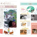 猫語辞典　オールカラー　にゃんこのキモチがわかっちゃう！